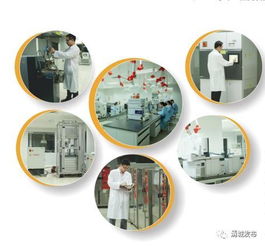 為金發(fā)科技研發(fā)團(tuán)隊(duì)點(diǎn)贊 亞太第一、全球第二的環(huán)?？萍枷蠕h